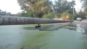 Мужик УПАЛ в болото! (с трубы) АХхахаха