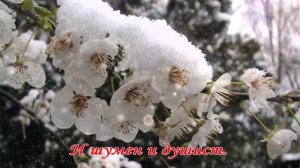 Весна, весна как воздух чист...авт С. Берлинский