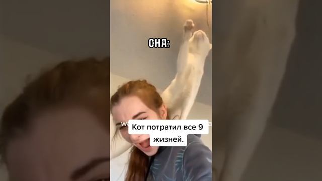 Суёт свой нос, куда не надо?