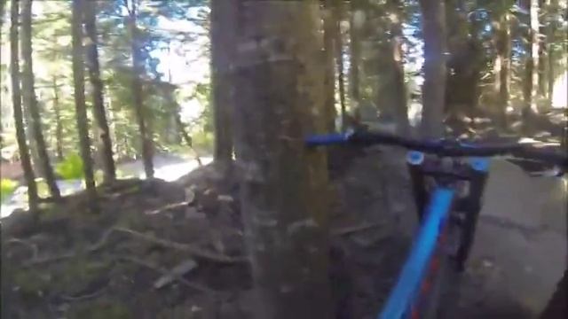 Застрял между деревьями смотреть онлайн