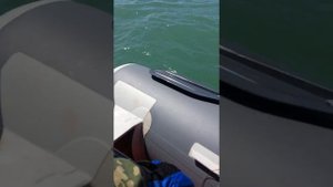 Викинг 360 PRO и Cолар 380К на волне