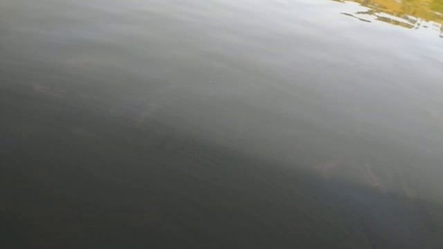 Рыба в Ангаре .Тихий плес смотреть онлайн