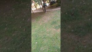 О боже мой миф с маской