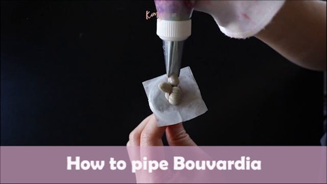 How to pipe buttercream Bouvardia │ Korean Buttercream Flower смотреть онлайн