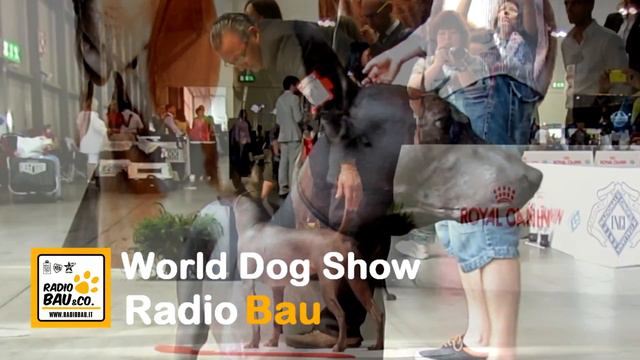 Xoloitzcuintle il cane di Frida Kahlo