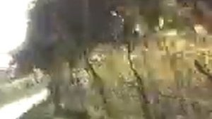 ВЕЗИ МЕНЯ ОЛЕНЬ.........В СВОЮ СТРАНУ ОЛЕНЬЮ.....