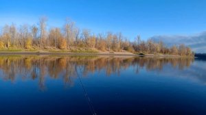 Отличная рыбалка на спиннинг! Ловля щуки и окуня на отводной поводок