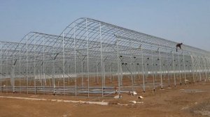 Постройка каркаса пленочных теплиц корейского типа Бек Кластер Узбекистан 10 гектар