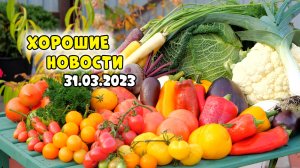 Фазенда переехала, внеси-вырасти-собери, овощи с грядки продлят молодость. Хорошие новости 29.03.23