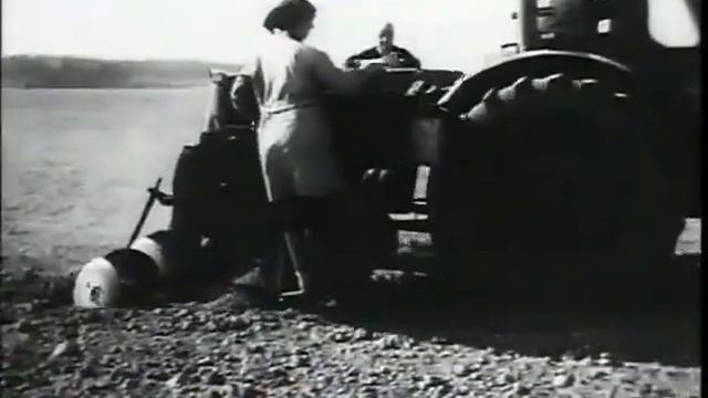 Семеноводство и технология производства картофеля