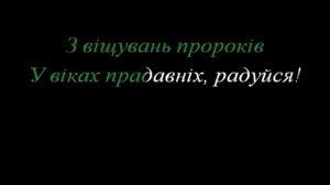 Ой радуйся земле Син Божий народився/  мінус