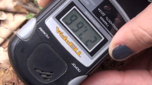 Радиация в Краснодаре. Радиоактивые деревья и земли