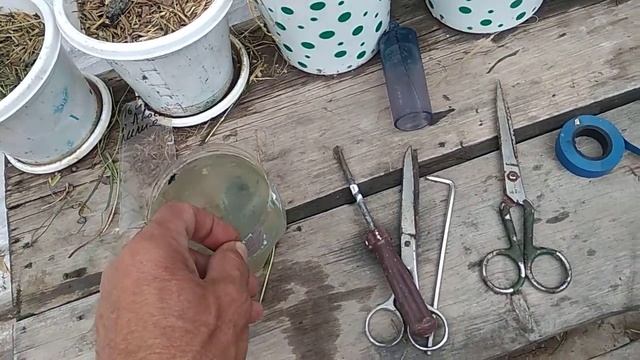 Бензокоса не набирает обороты. смотреть онлайн