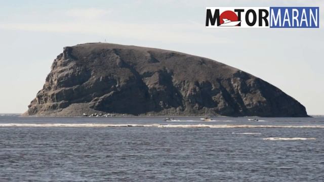 Алюминиевый катер Berkut L DC смотреть онлайн