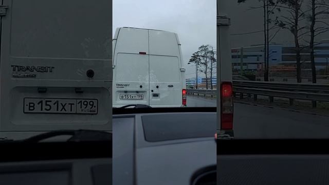 Клетка для перевозки спаниеля в авто. РОС