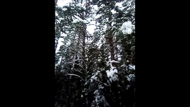 Природа России 3