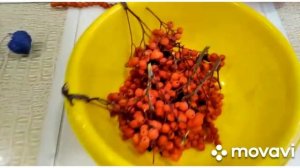 Бусы из рябины. Делаем детские бусы-поделка