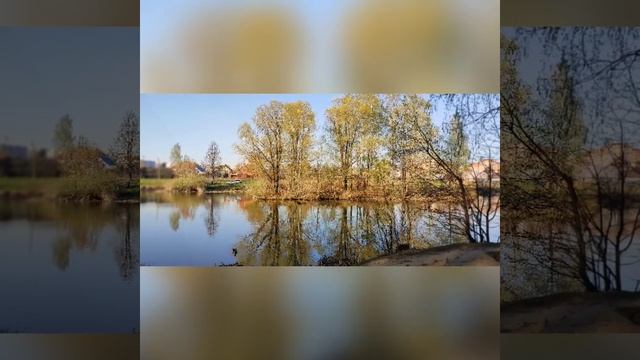 сказка про чудные слова смотреть онлайн