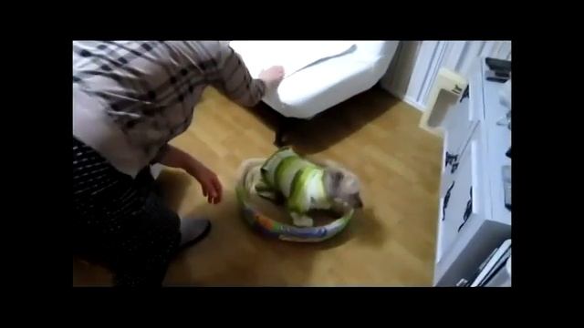 Скользкий ламинат смотреть онлайн