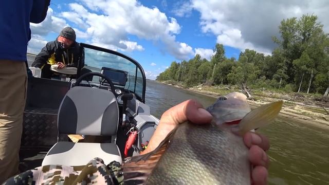 МОНСТР ГЛУБИН,ЩУКА-ЛЮДОЕД ПОЙМАНА!! Трофейная рыбалка на Оби, крупная щука,окунь,судак.