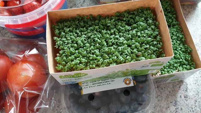 @ EINGEKAUFT !ЗАКУПИЛАСЬ на 80 EURO! С Ценой!В некоторых магазинах есть ограничения ! смотреть онлайн