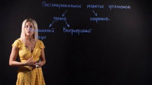Биология 11 класс: Постэмбриональное развитие организма