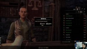 The Elder Scrolls Online [gameplay] - Understanding the game mechanics