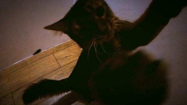 Вечерние игры. evening games. смотреть онлайн