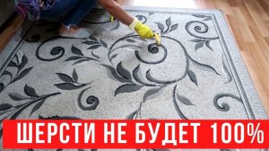 Этот ТРЮК выручает на 100%. Шерсти от ЖИВОТНЫХ в доме не будет