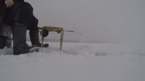 ЗА СУДАКОМ В СИЛЬНЫЙ СНЕГОПАД.