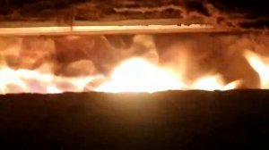 Реальные показатели ПДА Надежда Печников