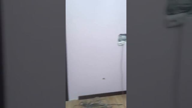 8 дверей измассива Красный дерева. смотреть онлайн