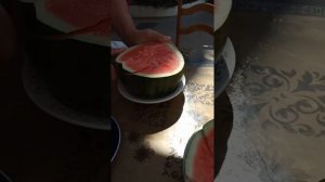 Арбуз без косточек!!!