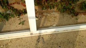 Окна veka whs 72