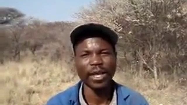 Isaiah, Say Helicopter (Helicepotella) смотреть онлайн