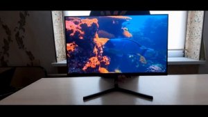 Монитор Xiaomi Redmi 1A 23.8" RMMNT238NF (китайская версия)