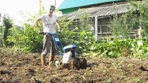 Мотокультиватор "Крот"