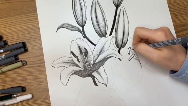 Цветы лилии. Рисунок черной капилярной ручкой. Video relax. Art therapy. Lily flower drawing. смотреть онлайн
