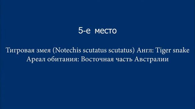 Самые опасные змеи в мире. смотреть онлайн