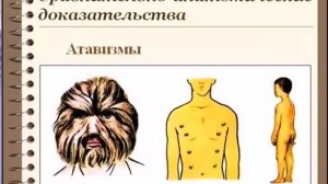 Доказательства происхождения человека от животных