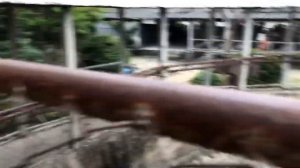 Крокодиловая ферма паттайя, Бесплатная Крокодиловая ферма в паттайе, экскурсия паттайя