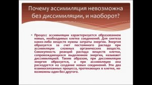 Ассимиляция и диссимиляция. Урок биологии.