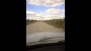 Пустыня подмосковья.