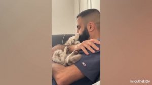 Cute cats won't sleep until they cuddle with their human