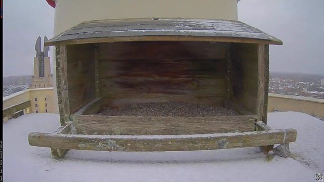 Camera 5 - 02/17/23 смотреть онлайн