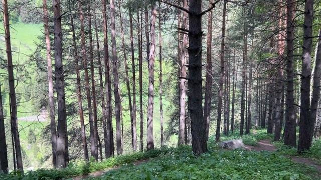 Поляна Терра (Тэра) | Ведьмин ручей смотреть онлайн