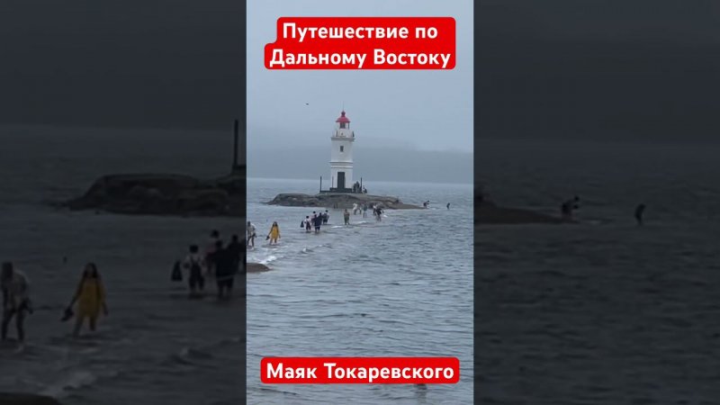 28 июля 2024 г.