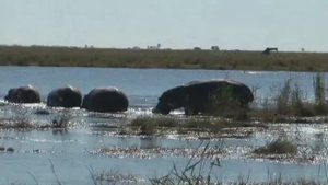 LikePlanet.ru - Золотой глобус - Ботсвана