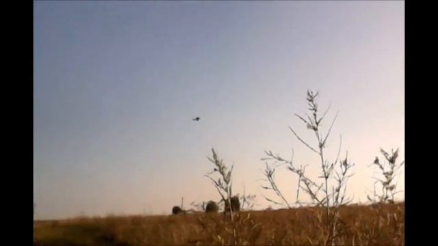 Первый полет (Радиоуправляемый самолет)