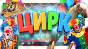 ЦИРК ! Потрясающее шоу ! Мои впечатления. #цирк #circus #шоу